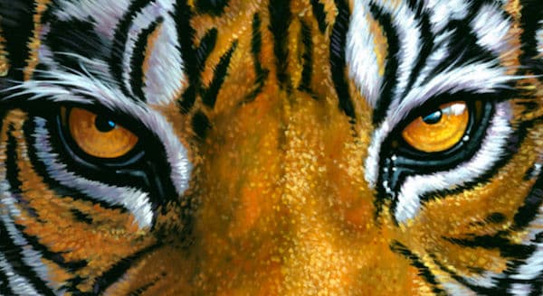 Gli occhi della tigre per affrontare la nuova sfida